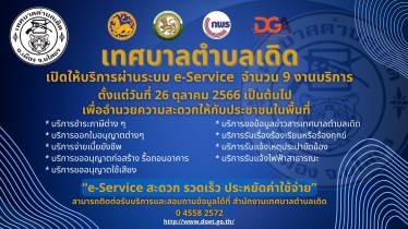 e-service